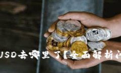 TP钱包闪兑的USD去哪里了？全面解析闪兑流程与成
