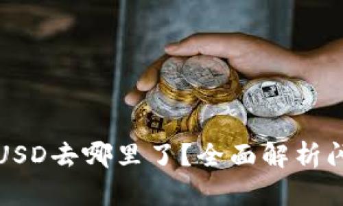 TP钱包闪兑的USD去哪里了？全面解析闪兑流程与成本