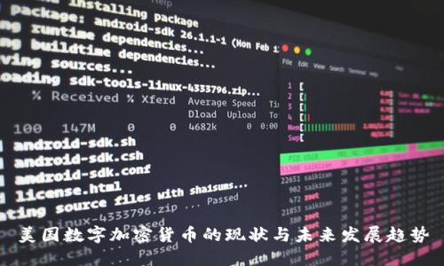 美国数字加密货币的现状与未来发展趋势