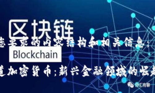 以下是您要求的内容结构和相关信息：

央视报道加密货币：新兴金融领域的崛起与挑战