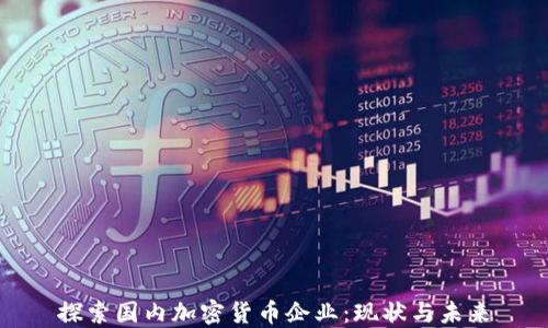 
探索国内加密货币企业：现状与未来