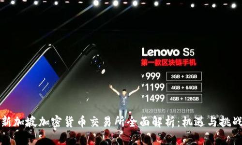 新加坡加密货币交易所全面解析：机遇与挑战